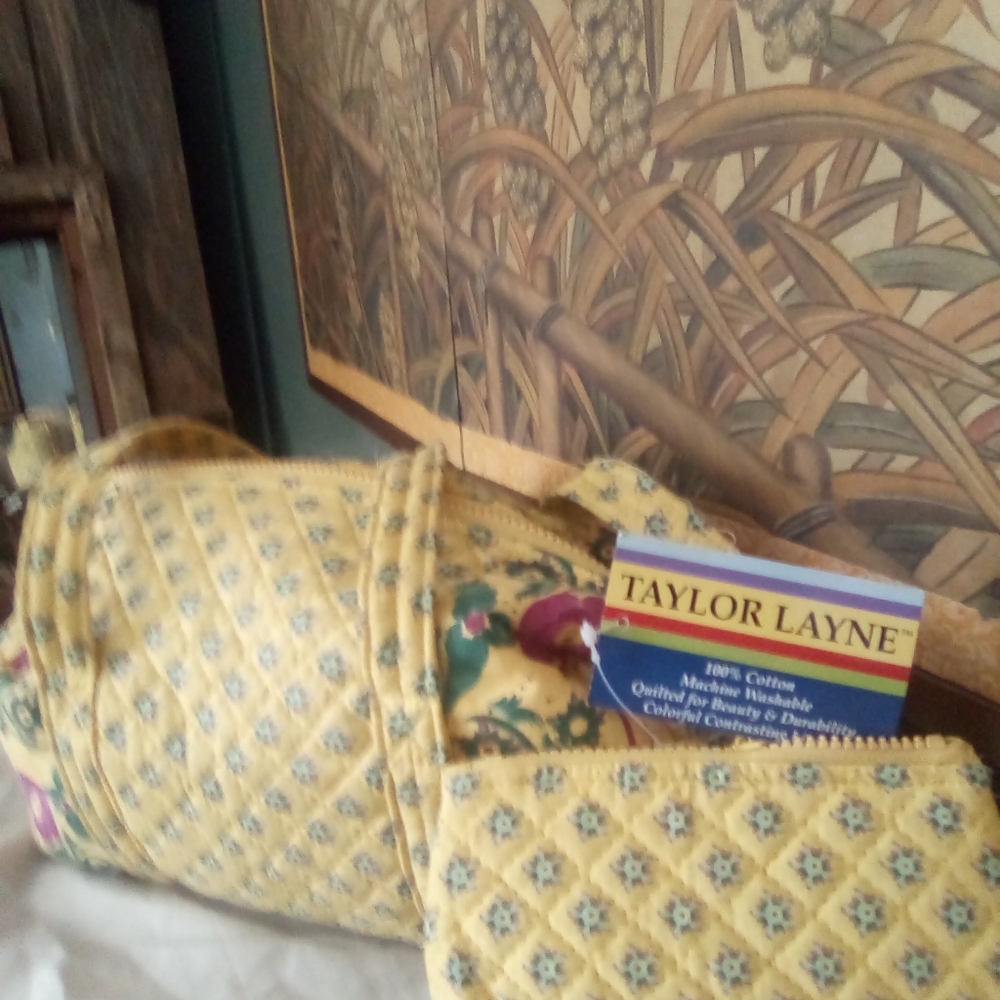 Taylor Layne purse and cosmetic bag